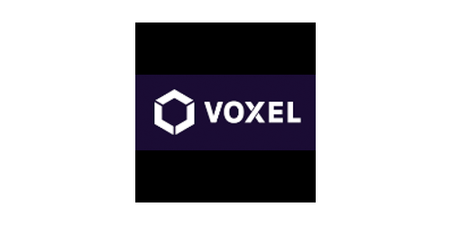 Voxel AI